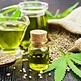 Medicinal cannabis from Canna-Bliz image