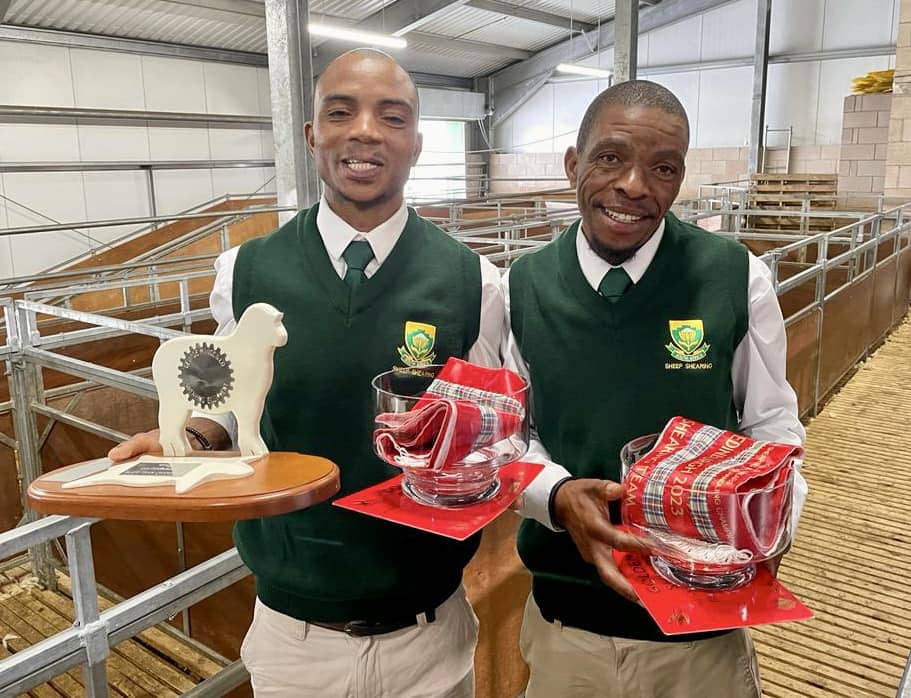 SA sheep shearers triumph at world championship