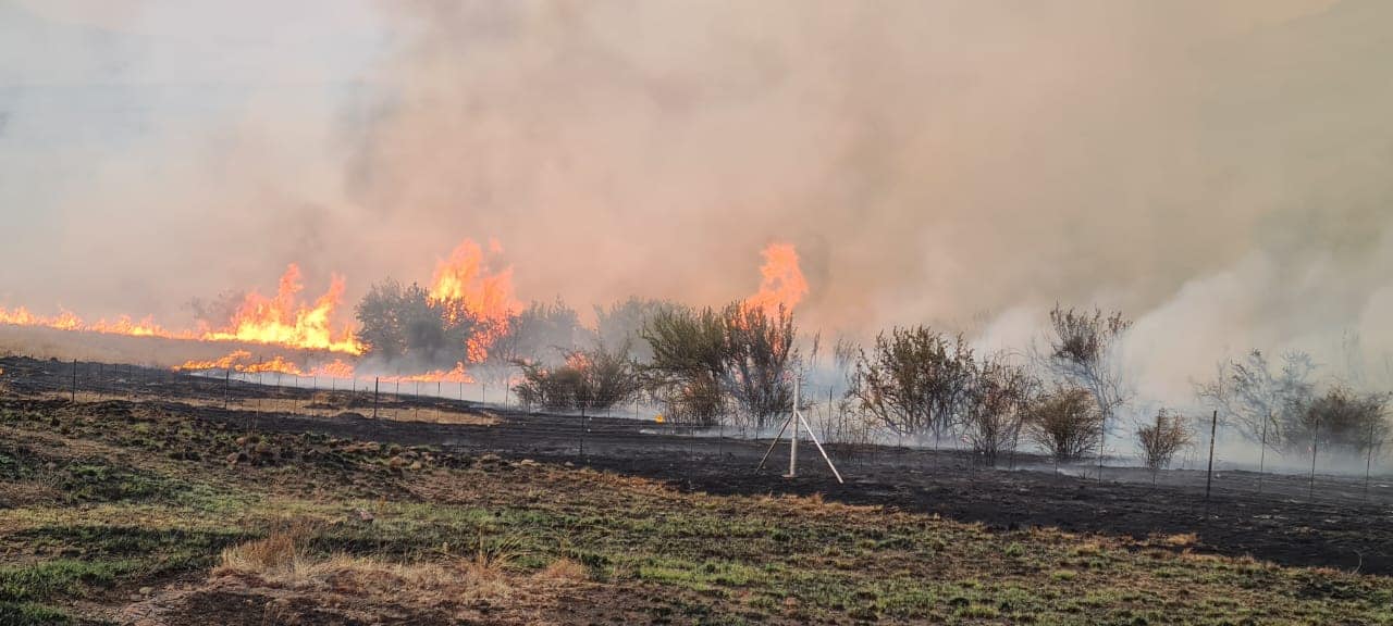 'Big fires' in quick succession in Free State