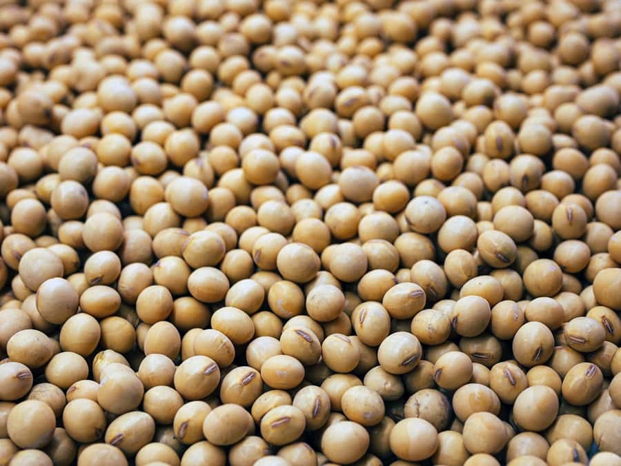 SA's first soybeans to China