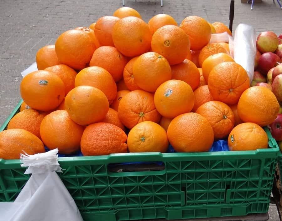 Citrus growers ask minister to prioritize Transnet repair in budget