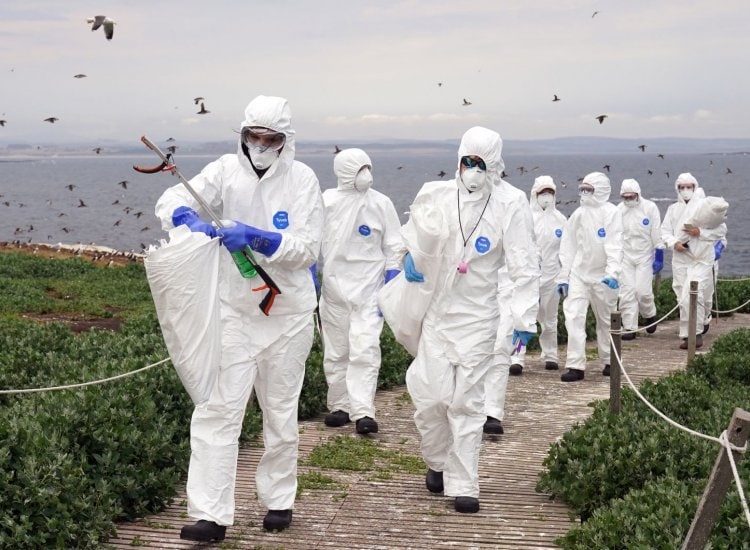 'Huge concern' about bird flu variant in humans